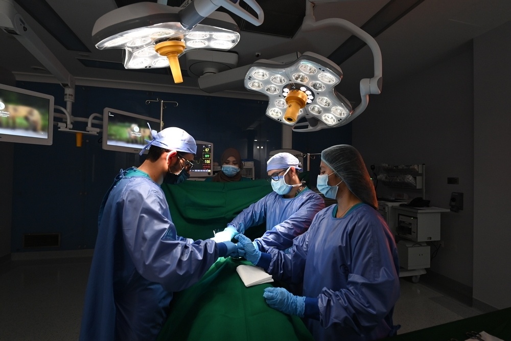 Health priority in Oman Vision 2040: qualitative transformations towards a sustainable health system
