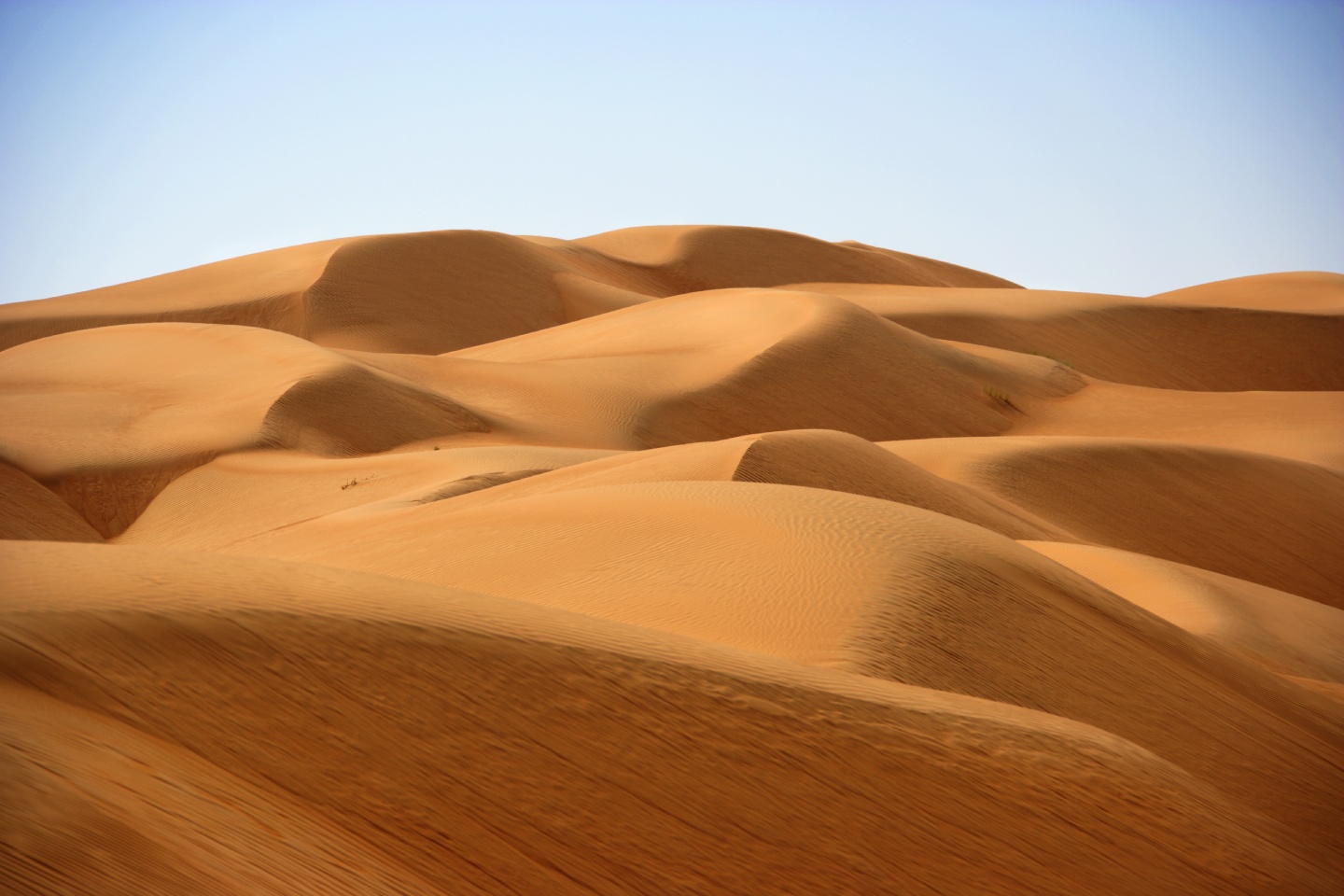 المناطق الرملية والصحراوية
